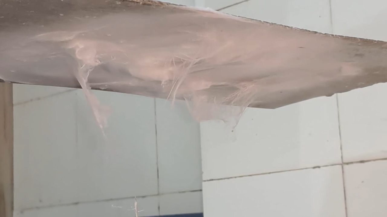 Electrospinning: Solutions of Polystyrene and Polyvinylidene Difluoride in Dimethylformamide